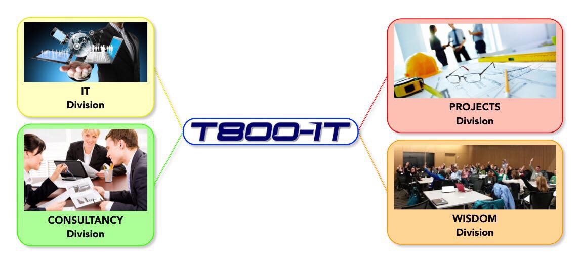 T800-IT Líneas de Negocio: Proyectos, Consultoria, TI y Capacitación